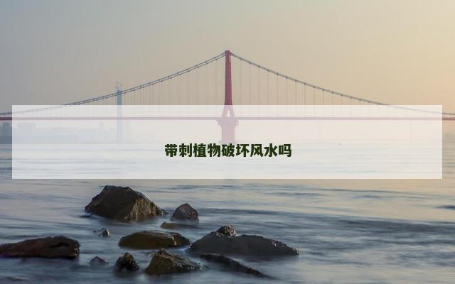 带刺植物破坏风水吗