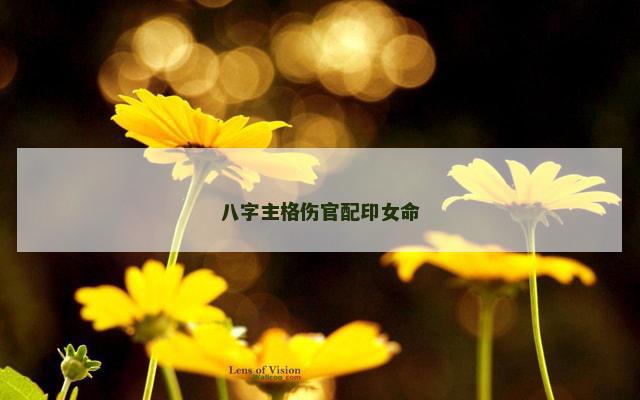 八字主格伤官配印女命