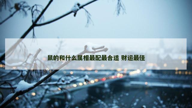 鼠的和什么属相最配最合适 财运最佳