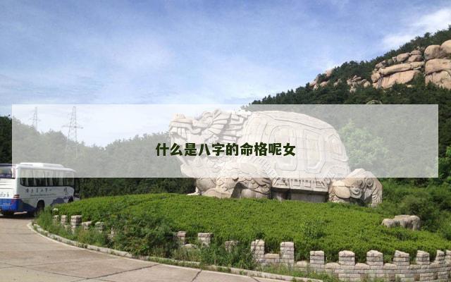 什么是八字的命格呢女