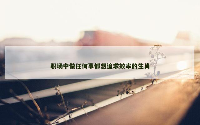 职场中做任何事都想追求效率的生肖