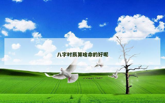 八字时辰算啥命的好呢
