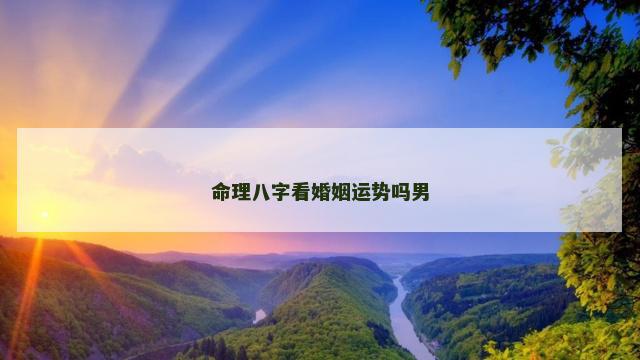 命理八字看婚姻运势吗男