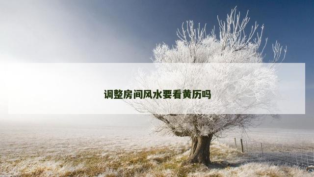 调整房间风水要看黄历吗