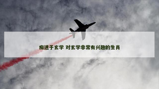 痴迷于玄学 对玄学非常有兴趣的生肖