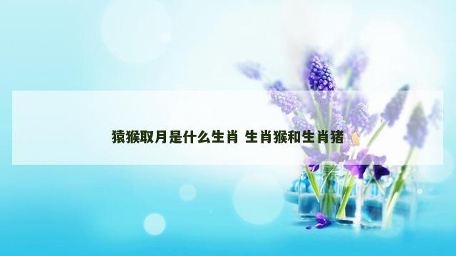 猿猴取月是什么生肖 生肖猴和生肖猪