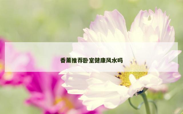 香薰推荐卧室健康风水吗