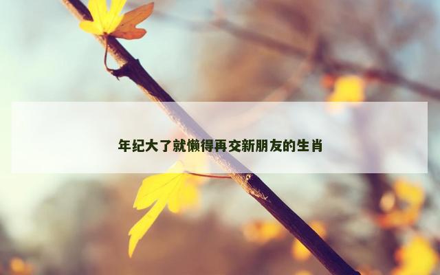 年纪大了就懒得再交新朋友的生肖