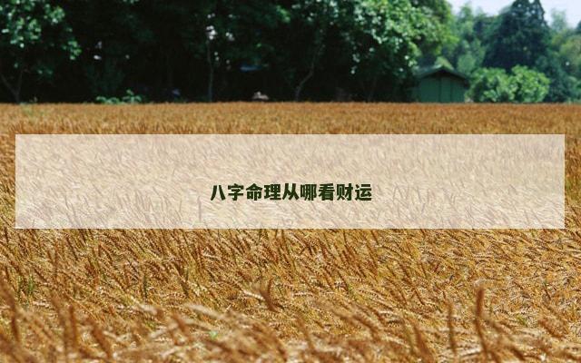 八字命理从哪看财运