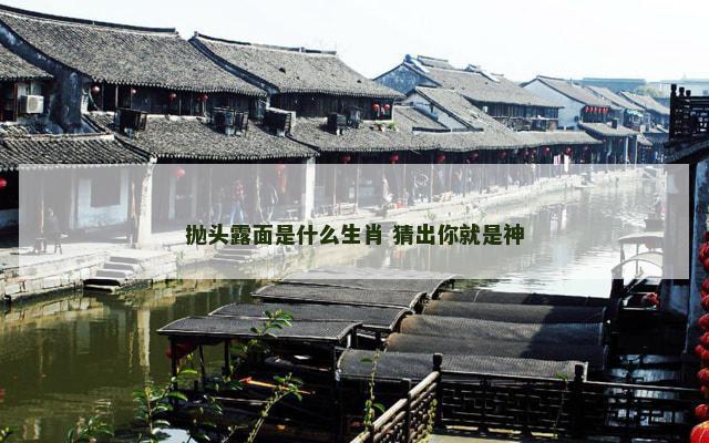 抛头露面是什么生肖 猜出你就是神