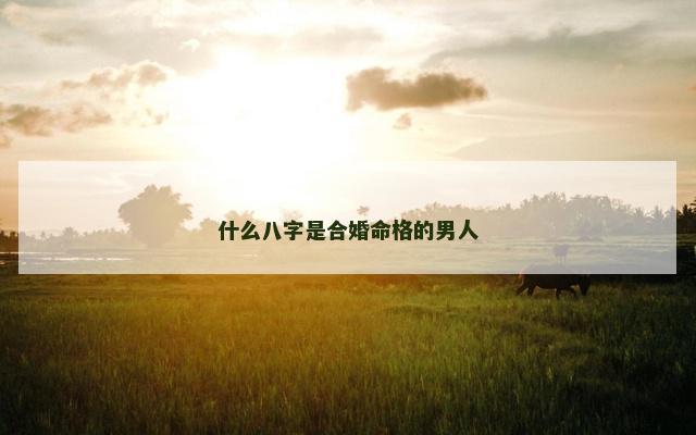 什么八字是合婚命格的男人