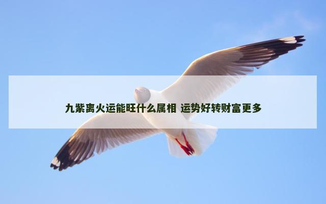 九紫离火运能旺什么属相 运势好转财富更多
