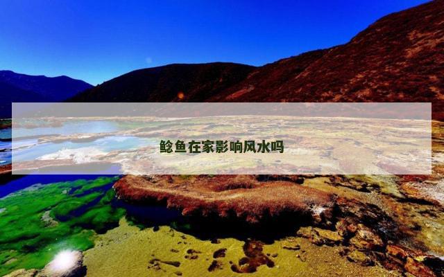 鲶鱼在家影响风水吗