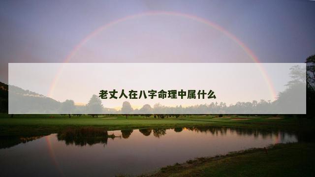 老丈人在八字命理中属什么