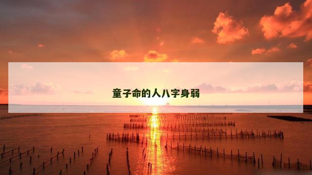 童子命的人八字身弱