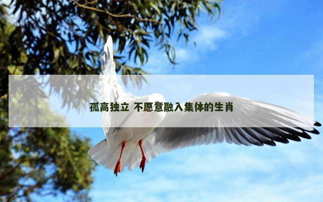 孤高独立 不愿意融入集体的生肖
