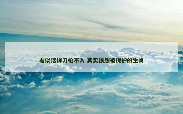 看似活得刀枪不入 其实很想被保护的生肖