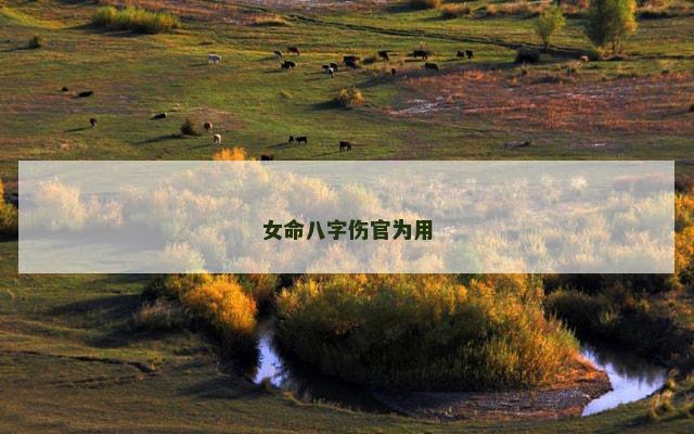 女命八字伤官为用