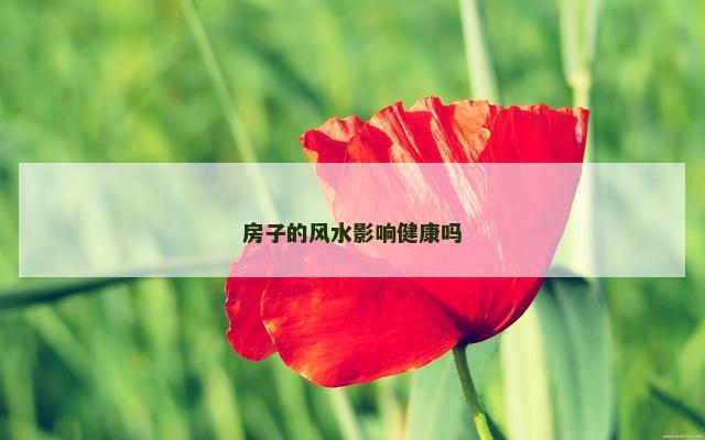 房子的风水影响健康吗