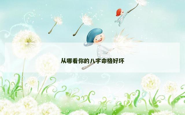 从哪看你的八字命格好坏