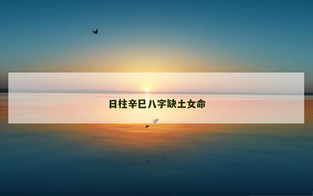 日柱辛巳八字缺土女命