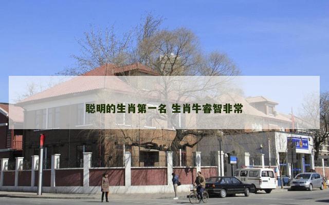 聪明的生肖第一名 生肖牛睿智非常
