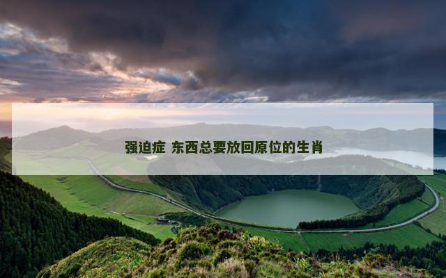 强迫症 东西总要放回原位的生肖