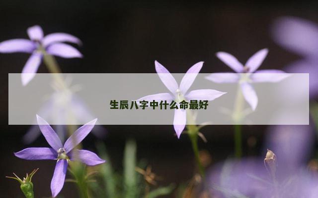 生辰八字中什么命最好