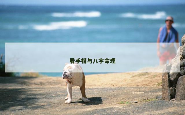 看手相与八字命理