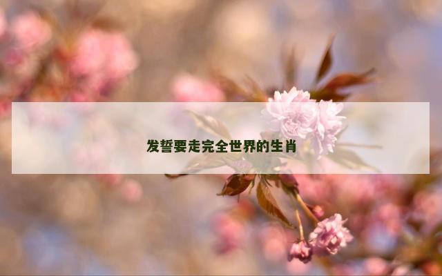 发誓要走完全世界的生肖