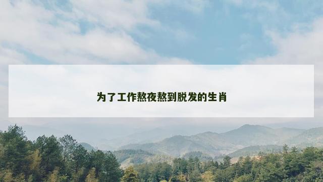 为了工作熬夜熬到脱发的生肖