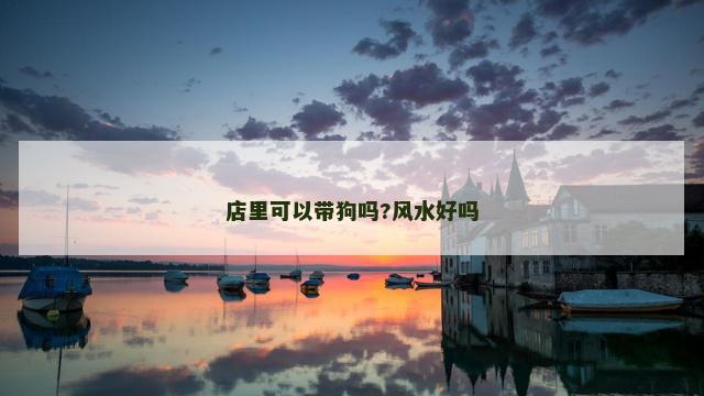 店里可以带狗吗?风水好吗