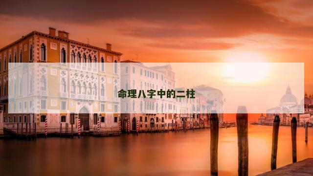 命理八字中的二柱