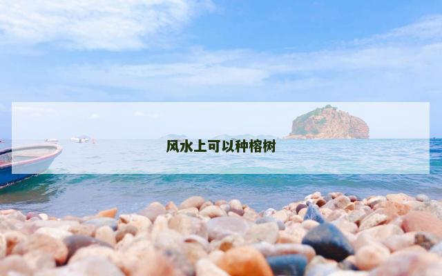 风水上可以种榕树