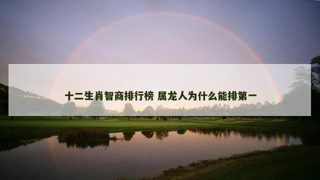 十二生肖智商排行榜 属龙人为什么能排第一