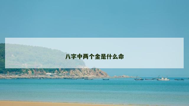 八字中两个金是什么命