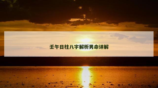壬午日柱八字解析男命详解