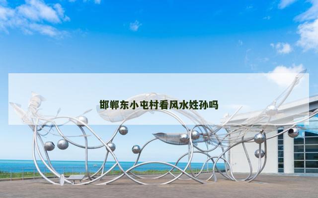 邯郸东小屯村看风水姓孙吗