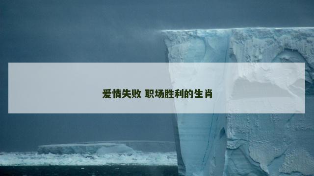爱情失败 职场胜利的生肖