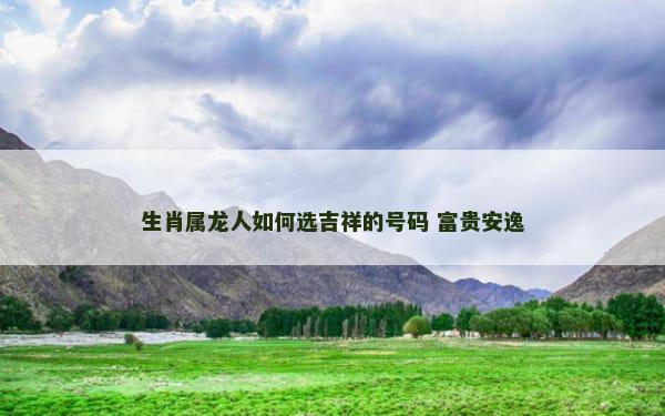 生肖属龙人如何选吉祥的号码 富贵安逸