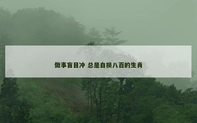 做事盲目冲 总是自损八百的生肖