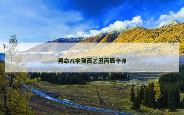 男命八字癸酉乙丑丙辰辛卯