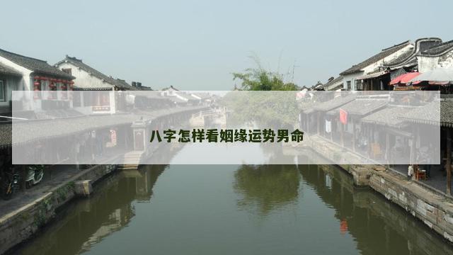 八字怎样看姻缘运势男命