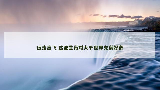 远走高飞 这些生肖对大千世界充满好奇
