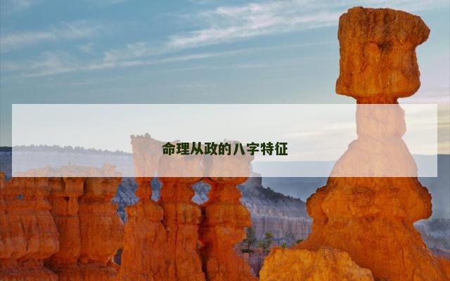 命理从政的八字特征