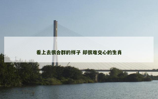 看上去很合群的样子 却很难交心的生肖