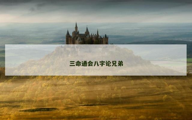 三命通会八字论兄弟