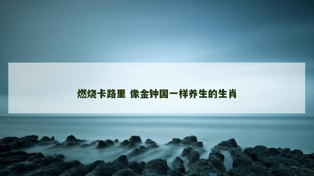燃烧卡路里 像金钟国一样养生的生肖 燃烧卡路里 像金钟国一样养生的生肖