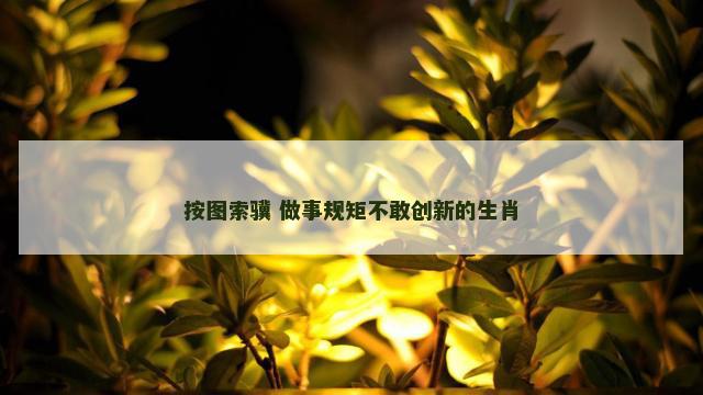 按图索骥 做事规矩不敢创新的生肖