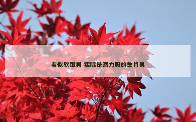 看似软饭男 实际是潜力股的生肖男